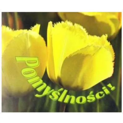 Pomy�lno�ci. Pere�ka