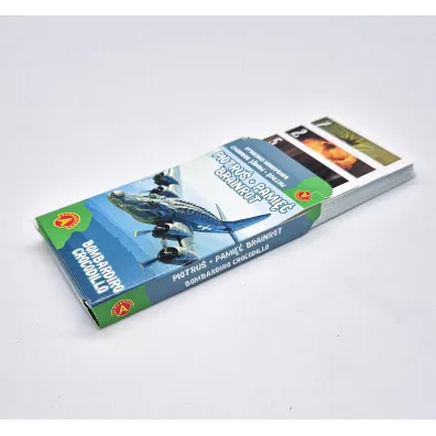 Karty do gry Piotru� Brainrot Bombardiro Crocodilo ALEXANDER 3152