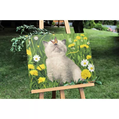 Twoje Hobby Malowanie po numerach. Kotek z motylem 40 x 50 cm