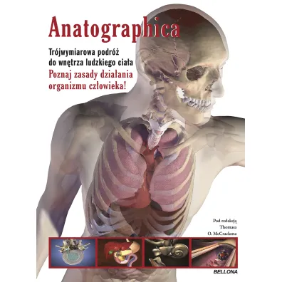 Anatographica - Thomas O. McCracken