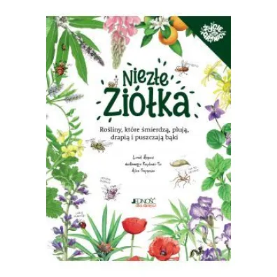 Niez�e zi�ka