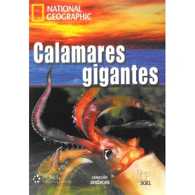Calamares gigantes C1