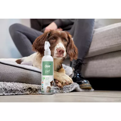 Dew Pet Care Spray do pielgnacji jamy ustnej dla zwierzt 250 ml