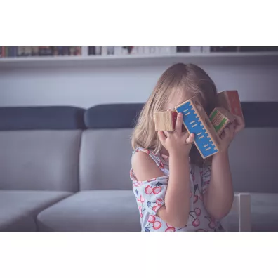Smart Games. Castle Logix (ENG) IUVI Games