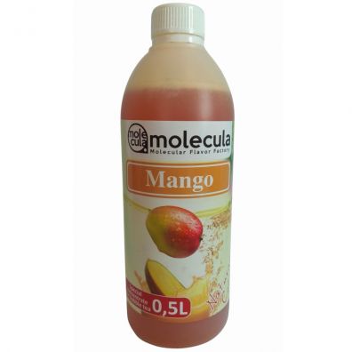 Molecula Syrop o smaku mango do bubble tea 500 ml