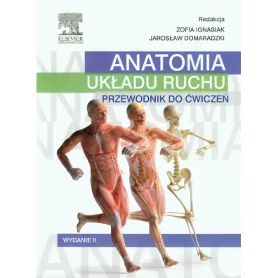Anatomia uk�adu ruchu. Przewodnik do �wicze�