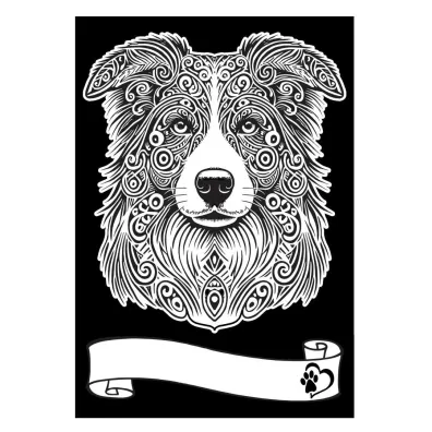 Kolorowanka Welwetowa A4 Border Collie
