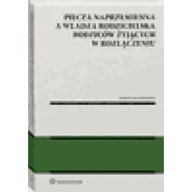 Piecza naprzemienna a w�adza rodzicielska rodzic�w �yj�cych w roz��czeniu