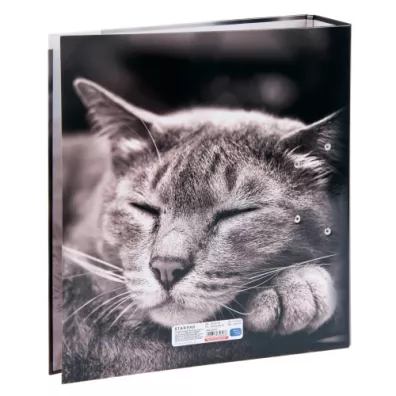 Starpak Segregator A4 Koty 7 cm