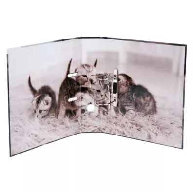 Starpak Segregator A4 Koty 7 cm