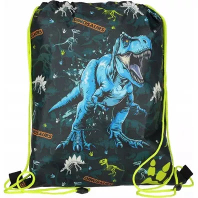Worek na buty Dino STARPAK 550836