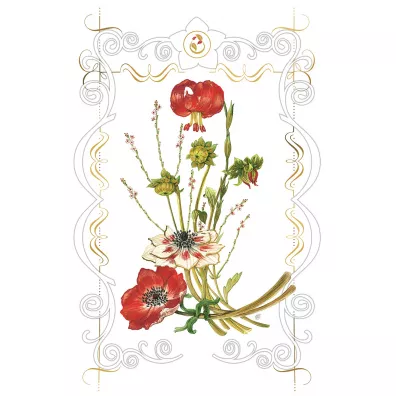 DaVinci Karnet Lilie B-BD 502 063 + koperta 12 x 18 cm