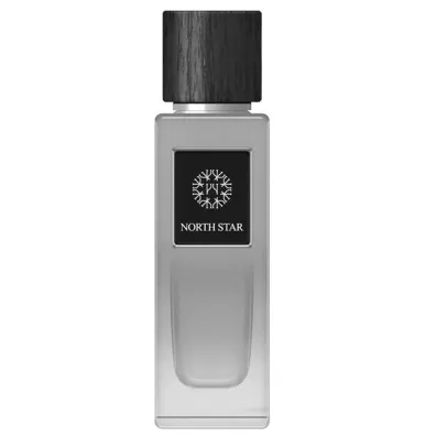 The Woods Collection Natural North Star Woda perfumowana 100 ml