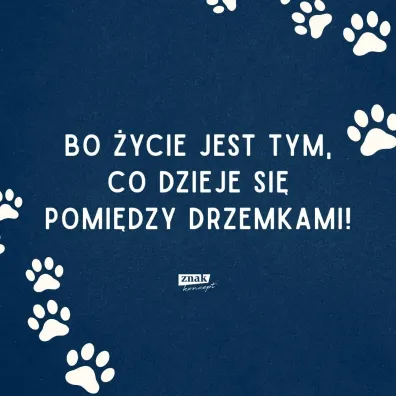 Vita Felix. Kocia droga do szcz�cia