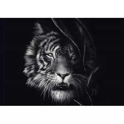 Puzzle PQ 1000 Ashley Rader Tygrys G3 Schmidt Spiele-Puzzle