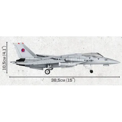 Top Gun: F-14 Tomcat