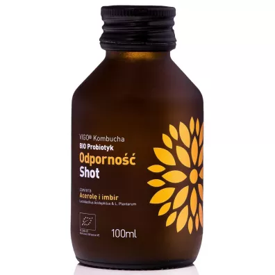 Vigo Yoko Shot kombucha odporno�� bezglutenowy 100 ml Bio