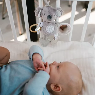 Zawieszka edukacyjna - zawieszka do wzka Koala Coco Babyono