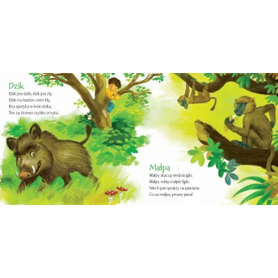 Zoo