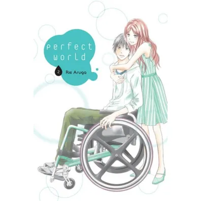 Perfect World. Tom 2 - Rie Aruga