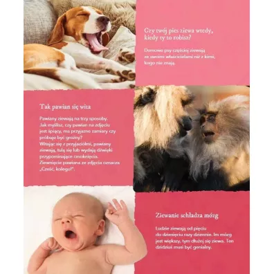 Moja pierwsza encyklopedia. Zwierz�ta. Disney