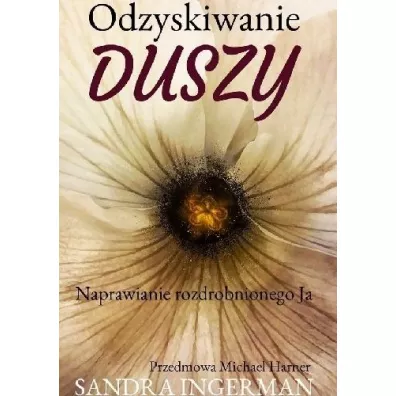 Odzyskiwanie duszy - Sandra Ingerman