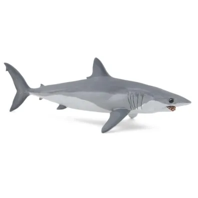 Ostronos atlantycki (rekin mako)