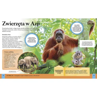 Encyklopedia �rodowiska naturalnego