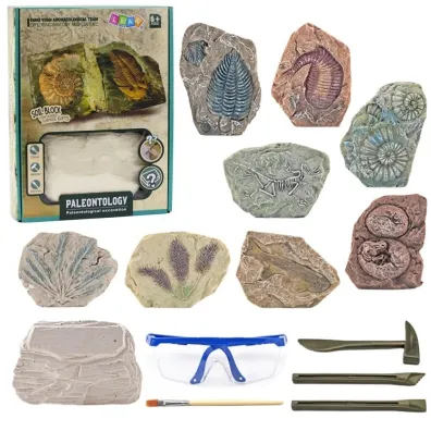 Zestaw paleontologiczny wykopaliska narzdzia LeanToys