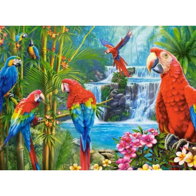 Puzzle 2000 el. Parrot Meeting Castorland