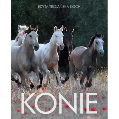 Konie - Edyta Troja�ska-Koch