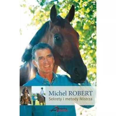 Sekrety i metody Mistrza - Robert Michel