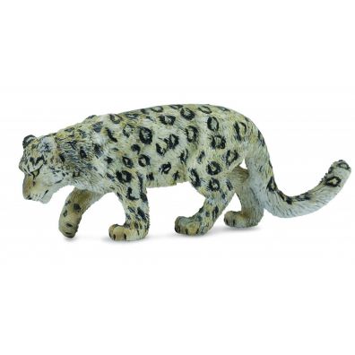 Leopard nieny