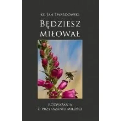 B�dziesz mi�owa� rozwa�ania o przykazaniu mi�o�ci - Jan Twardowski