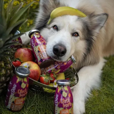 SmoothieDog Obstkorb – owocowe smoothie dla psa 250 g