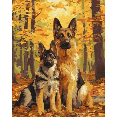 Ideyka Malowanie po numerach - Le�ni przyjaciele 40x50cm