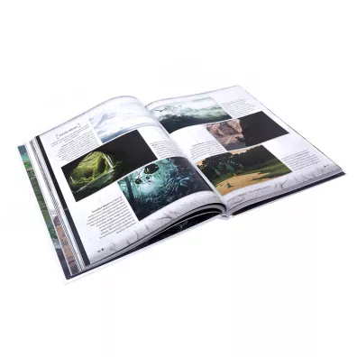 Everdell. Opowie�ci spod Zielonego �o��dzia