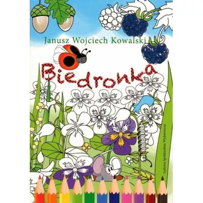 Biedronka - Janusz Wojciech  Kowalski