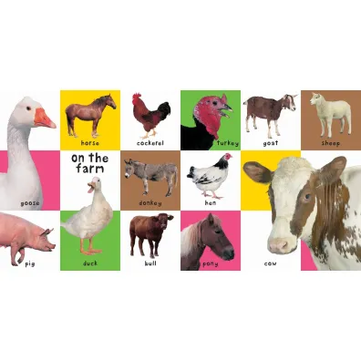 First 100 Animals