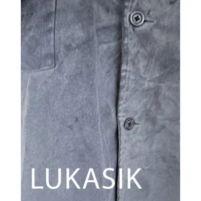 Lukasik. Inwentaryzacja - Andrzej Biernacki, Anna  Pacyniak