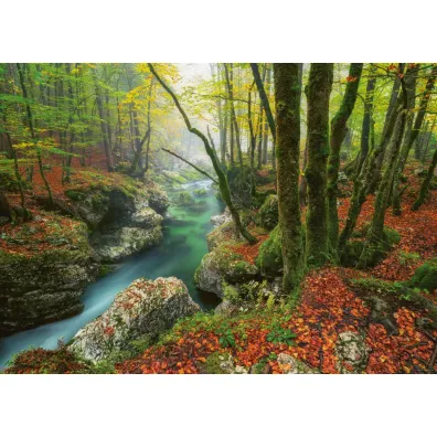 Puzzle 1000 el. Magiczny las - Potok w lesie Heye