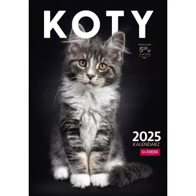 Kalendarz 2025 A4 cienny Koty