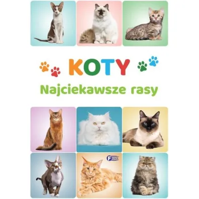 Koty. Najciekawsze rasy