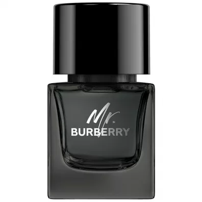 Burberry Mr. Woda perfumowana 50 ml