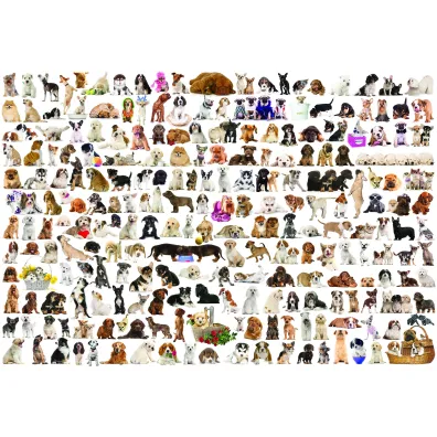 Puzzle 2000 el. �wiat ps�w Eurographics