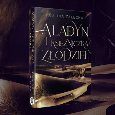 Aladyn i Ksi�niczka Z�odziei