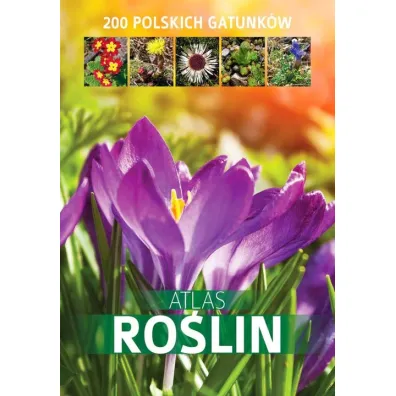 Atlas ro�lin. 200 polskich gatunk�w (OT) - Aleksandra Halarewicz
