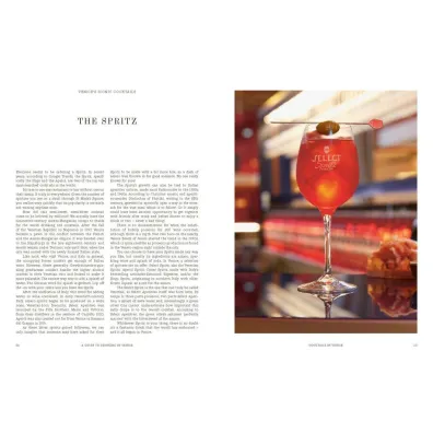 A Guide to Drinking in Venice