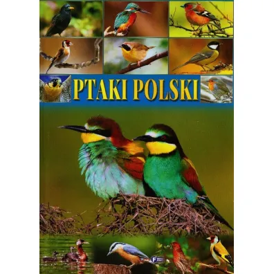 Ptaki Polski