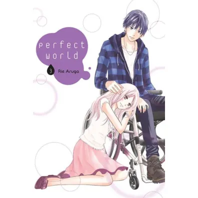 Perfect World. Tom 3 - Rie Aruga